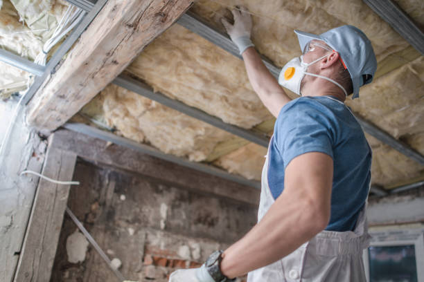 Best Crawl Space Insulation  in Olean, NY