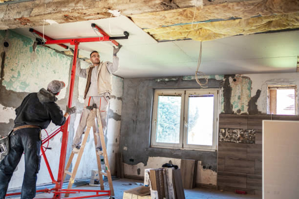 Best Cellulose Insulation  in Olean, NY