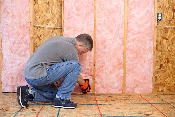 Best Home Insulation Services  in Olean, NY