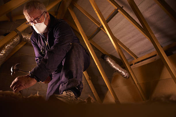 Attic Insulation Near Me in Olean, NY